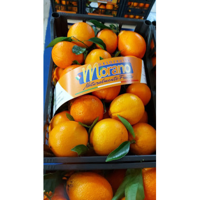 Ortofrutta Morano