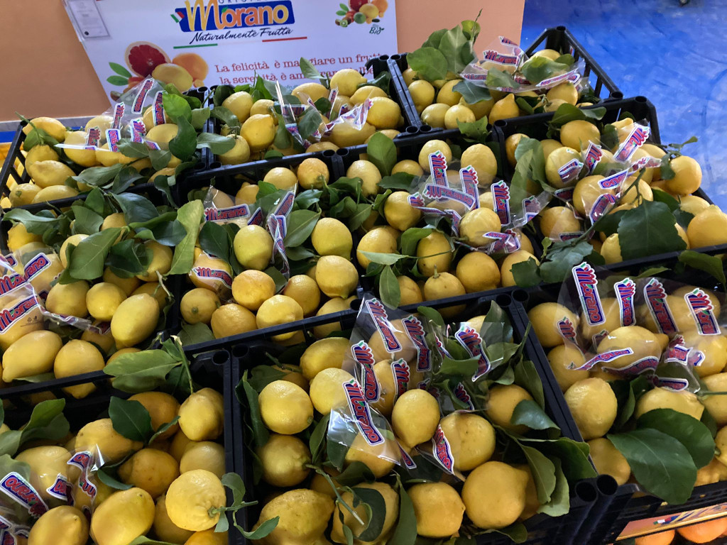 Galleria